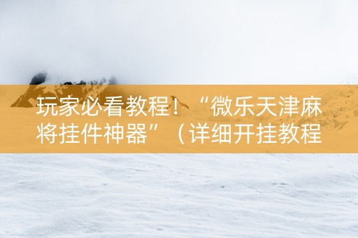 玩家必看教程！“微乐天津麻将挂件神器”（详细开挂教程）-哔哩哔哩