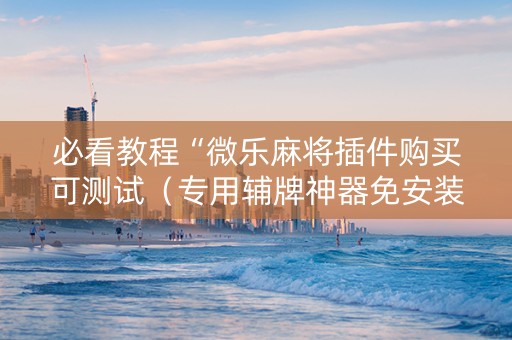 必看教程“微乐麻将插件购买可测试（专用辅牌神器免安装）