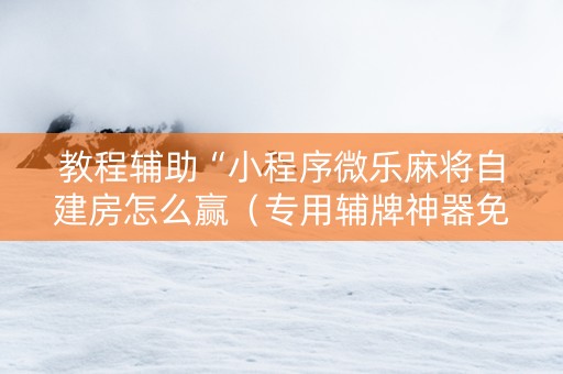 教程辅助“小程序微乐麻将自建房怎么赢（专用辅牌神器免安装）