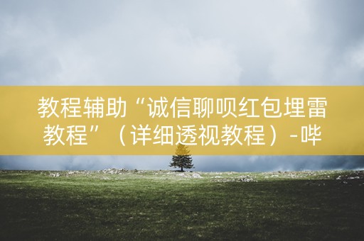 教程辅助“诚信聊呗红包埋雷教程”（详细透视教程）-哔哩哔哩