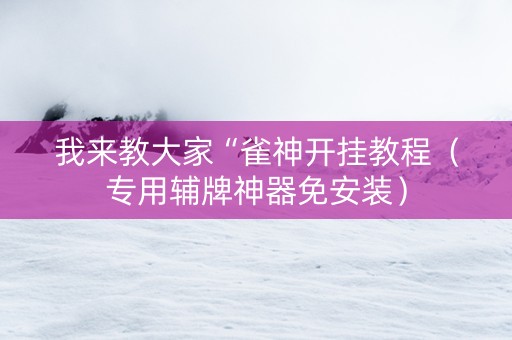 我来教大家“雀神开挂教程（专用辅牌神器免安装）