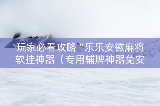 玩家必看攻略“乐乐安徽麻将软挂神器（专用辅牌神器免安装）