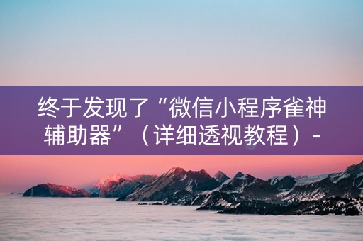 终于发现了“微信小程序雀神辅助器”（详细透视教程）-哔哩哔哩