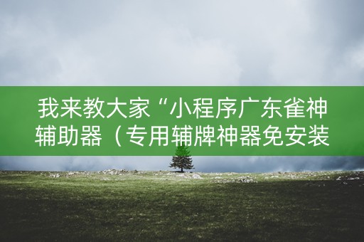 我来教大家“小程序广东雀神辅助器（专用辅牌神器免安装）