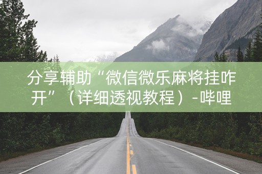 分享辅助“微信微乐麻将挂咋开”（详细透视教程）-哔哩哔哩