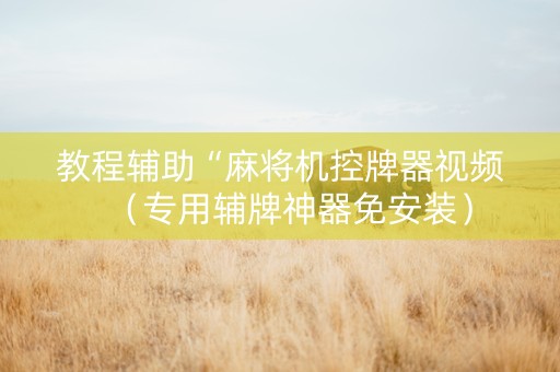 教程辅助“麻将机控牌器视频（专用辅牌神器免安装）