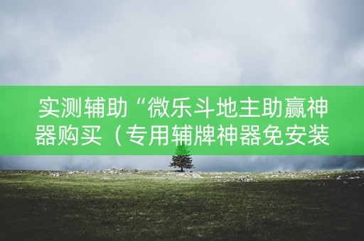 实测辅助“微乐斗地主助赢神器购买（专用辅牌神器免安装）