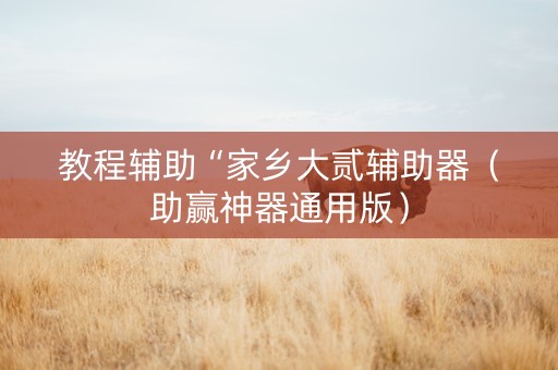 教程辅助“家乡大贰辅助器（助赢神器通用版）
