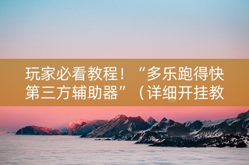 玩家必看教程！“多乐跑得快第三方辅助器”（详细开挂教程）-哔哩哔哩