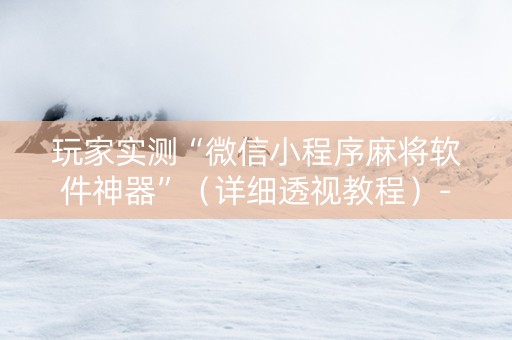 玩家实测“微信小程序麻将软件神器”（详细透视教程）-哔哩哔哩