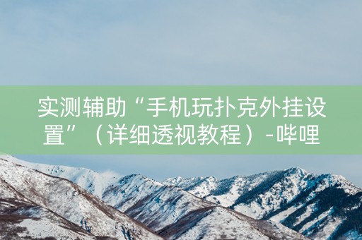 实测辅助“手机玩扑克外挂设置”（详细透视教程）-哔哩哔哩