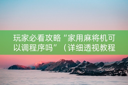 玩家必看攻略“家用麻将机可以调程序吗”（详细透视教程）-哔哩哔哩