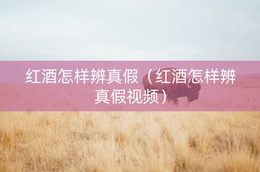红酒怎样辨真假（红酒怎样辨真假视频）
