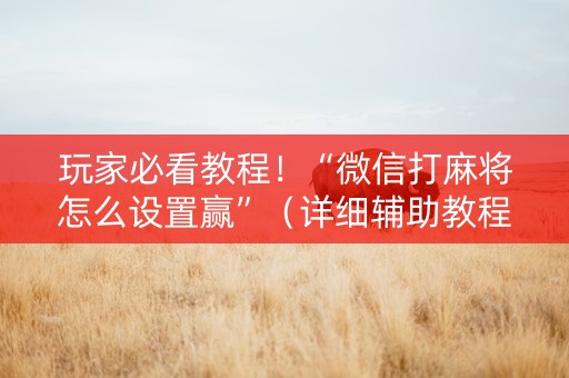 玩家必看教程！“微信打麻将怎么设置赢”（详细辅助教程）-哔哩哔哩