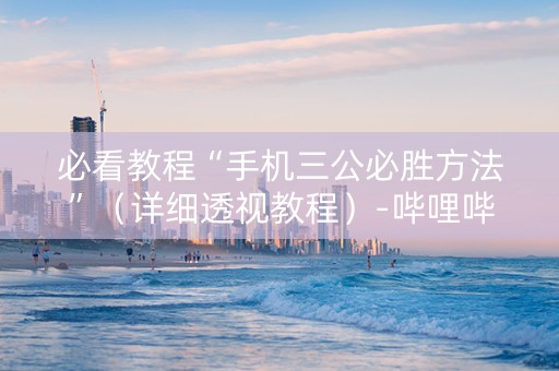 必看教程“手机三公必胜方法”（详细透视教程）-哔哩哔哩