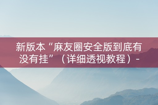 新版本“麻友圈安全版到底有没有挂”（详细透视教程）-哔哩哔哩
