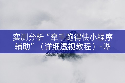 实测分析“牵手跑得快小程序辅助”（详细透视教程）-哔哩哔哩