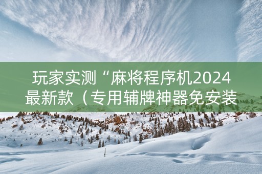玩家实测“麻将程序机2024最新款（专用辅牌神器免安装）