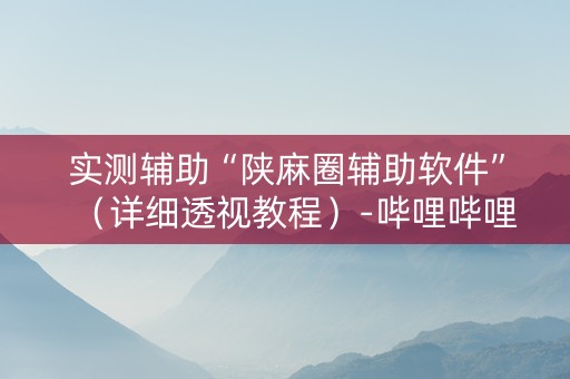 实测辅助“陕麻圈辅助软件”（详细透视教程）-哔哩哔哩