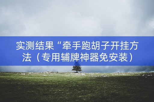 实测结果“牵手跑胡子开挂方法（专用辅牌神器免安装）