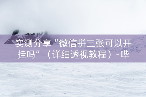 实测分享“微信拼三张可以开挂吗”（详细透视教程）-哔哩哔哩