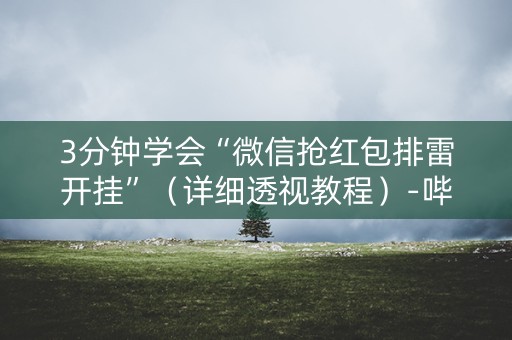 3分钟学会“微信抢红包排雷开挂”（详细透视教程）-哔哩哔哩