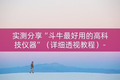 实测分享“斗牛最好用的高科技仪器”（详细透视教程）-哔哩哔哩