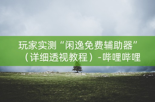 玩家实测“闲逸免费辅助器”（详细透视教程）-哔哩哔哩
