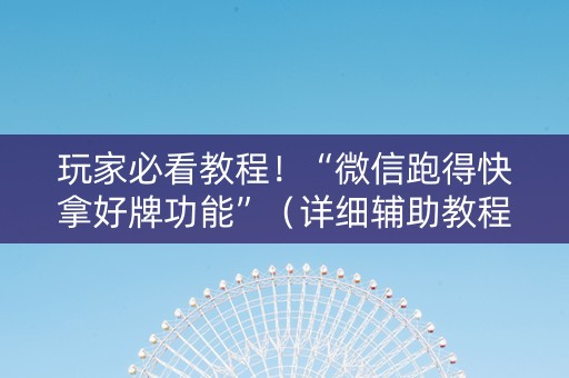 玩家必看教程！“微信跑得快拿好牌功能”（详细辅助教程）-哔哩哔哩