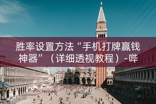 胜率设置方法“手机打牌赢钱神器”（详细透视教程）-哔哩哔哩