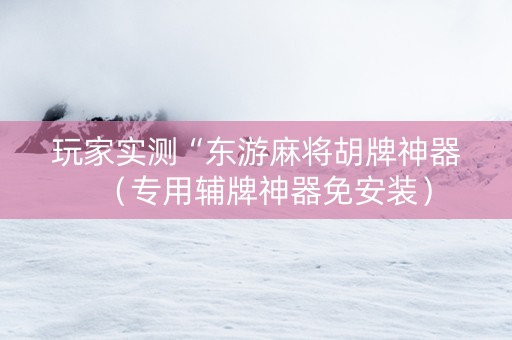 玩家实测“东游麻将胡牌神器（专用辅牌神器免安装）