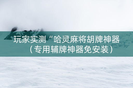 玩家实测“哈灵麻将胡牌神器（专用辅牌神器免安装）