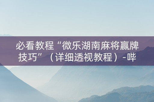 必看教程“微乐湖南麻将赢牌技巧”（详细透视教程）-哔哩哔哩