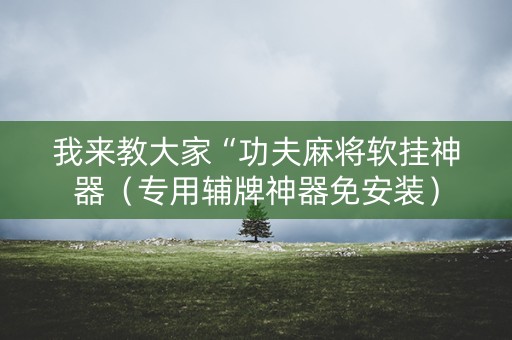 我来教大家“功夫麻将软挂神器（专用辅牌神器免安装）
