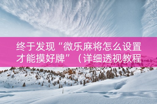 终于发现“微乐麻将怎么设置才能摸好牌”（详细透视教程）-哔哩哔哩