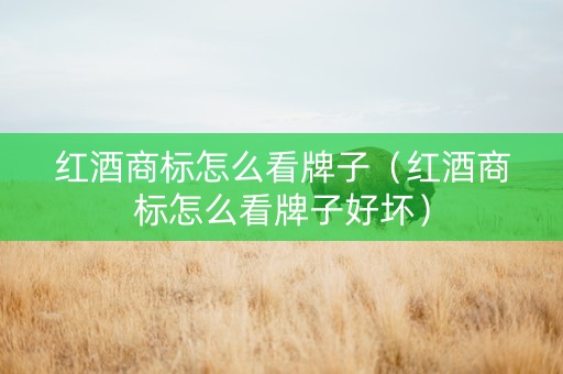 红酒商标怎么看牌子（红酒商标怎么看牌子好坏）