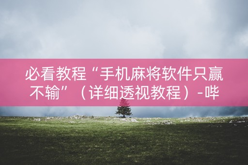 必看教程“手机麻将软件只赢不输”（详细透视教程）-哔哩哔哩