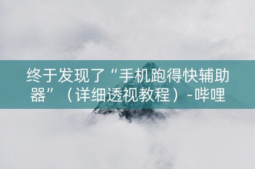 终于发现了“手机跑得快辅助器”（详细透视教程）-哔哩哔哩