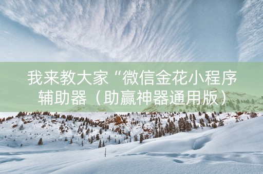 我来教大家“微信金花小程序辅助器（助赢神器通用版）