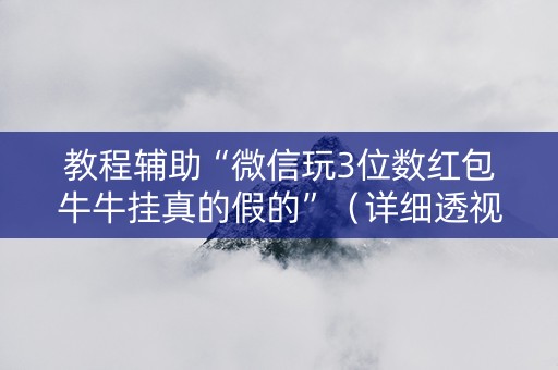教程辅助“微信玩3位数红包牛牛挂真的假的”（详细透视教程）-哔哩哔哩