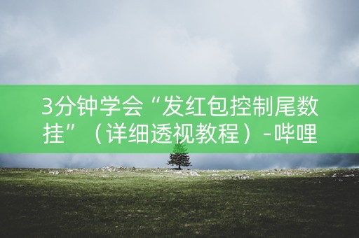 3分钟学会“发红包控制尾数挂”（详细透视教程）-哔哩哔哩