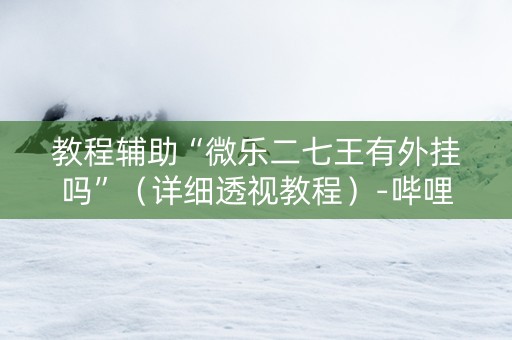 教程辅助“微乐二七王有外挂吗”（详细透视教程）-哔哩哔哩