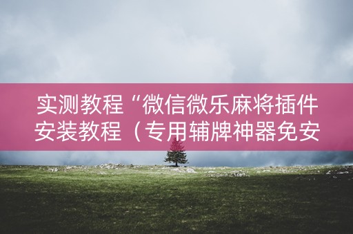 实测教程“微信微乐麻将插件安装教程（专用辅牌神器免安装）