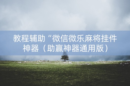 教程辅助“微信微乐麻将挂件神器（助赢神器通用版）