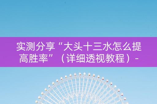 实测分享“大头十三水怎么提高胜率”（详细透视教程）-哔哩哔哩