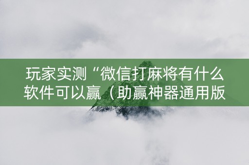 玩家实测“微信打麻将有什么软件可以赢（助赢神器通用版）