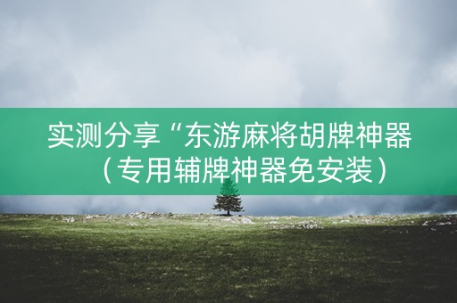 实测分享“东游麻将胡牌神器（专用辅牌神器免安装）