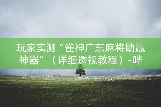 玩家实测“雀神广东麻将助赢神器”（详细透视教程）-哔哩哔哩