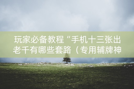 玩家必备教程“手机十三张出老千有哪些套路（专用辅牌神器免安装）