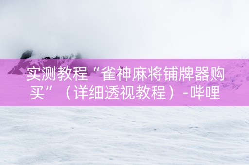 实测教程“雀神麻将铺牌器购买”（详细透视教程）-哔哩哔哩